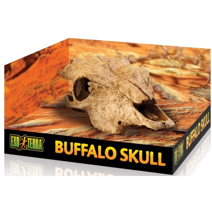 EXO TERRA Buffalo Skull - byvolia lebka 